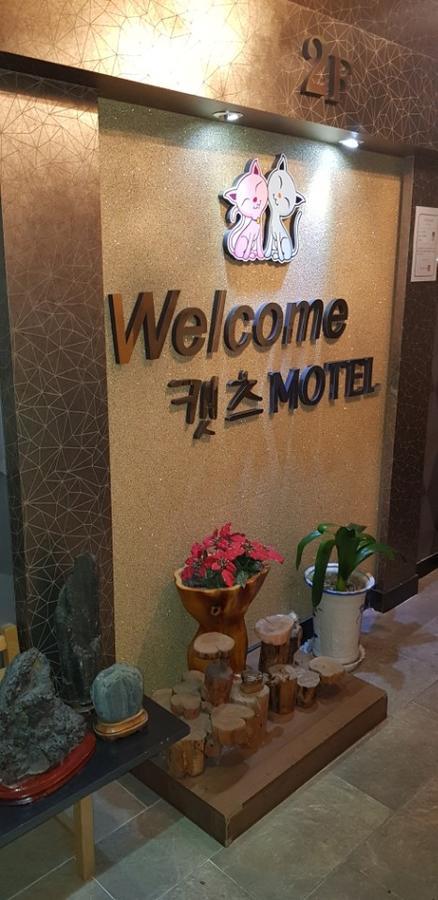 Cats Motel Gangneung Luaran gambar
