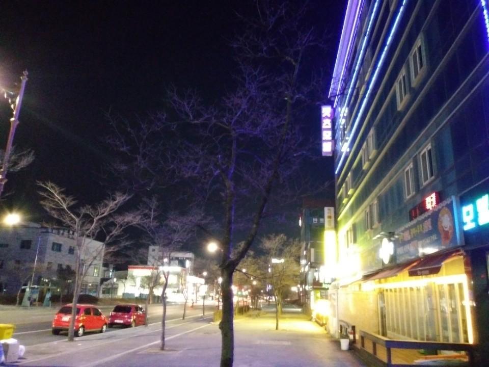 Cats Motel Gangneung Luaran gambar
